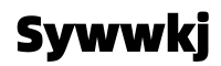 sywwkj.com